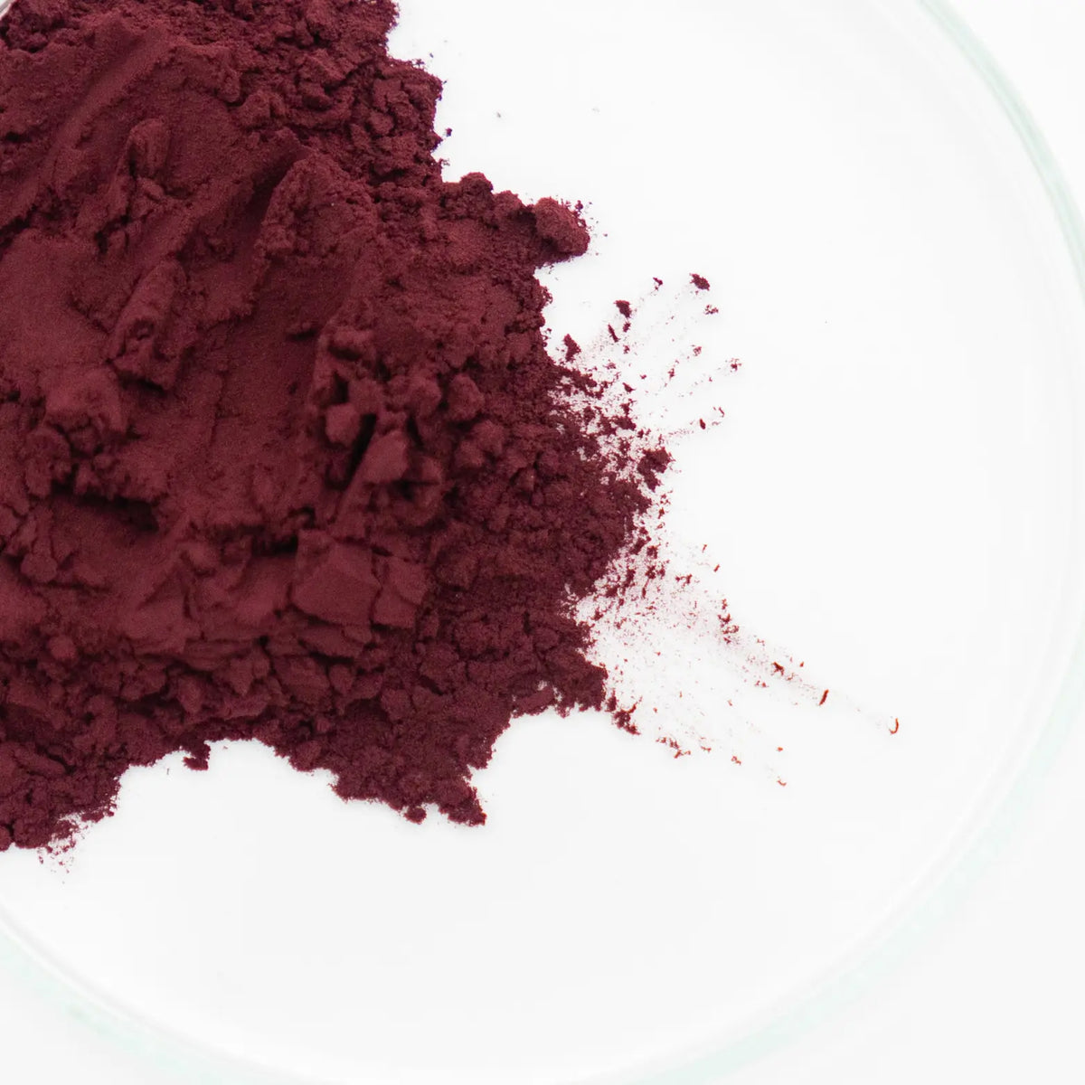 Close-up van Cherry Tart, een antioxidant-rijk ingrediënt in B.me Skin’s Anti-Oxidant formule